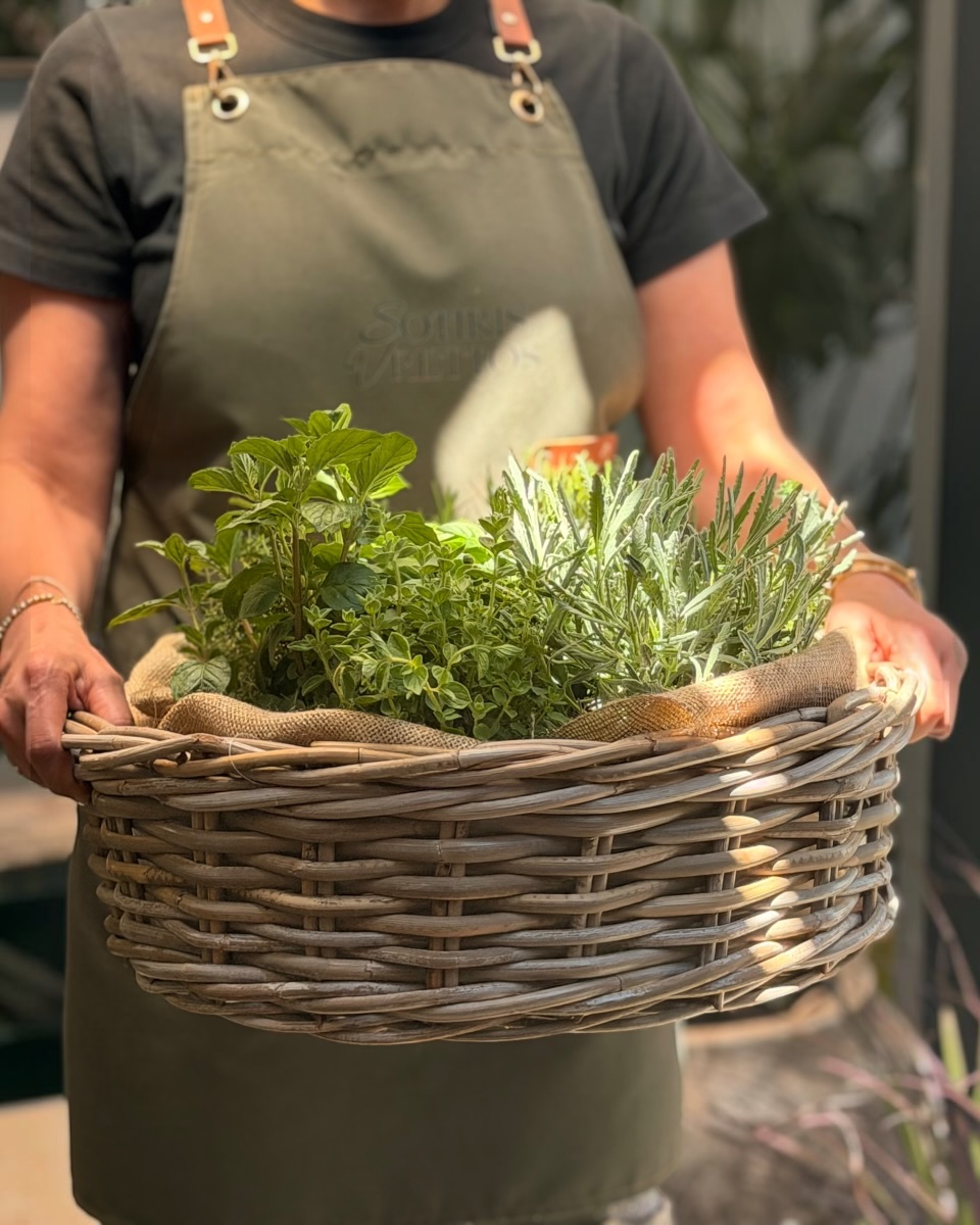 Herbs Basket Herbs Basket