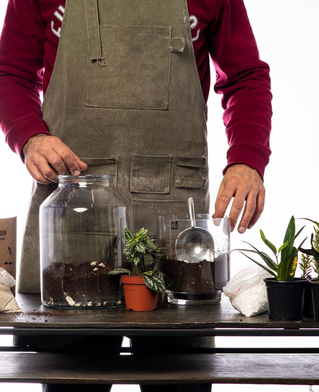 All in one Terrarium
