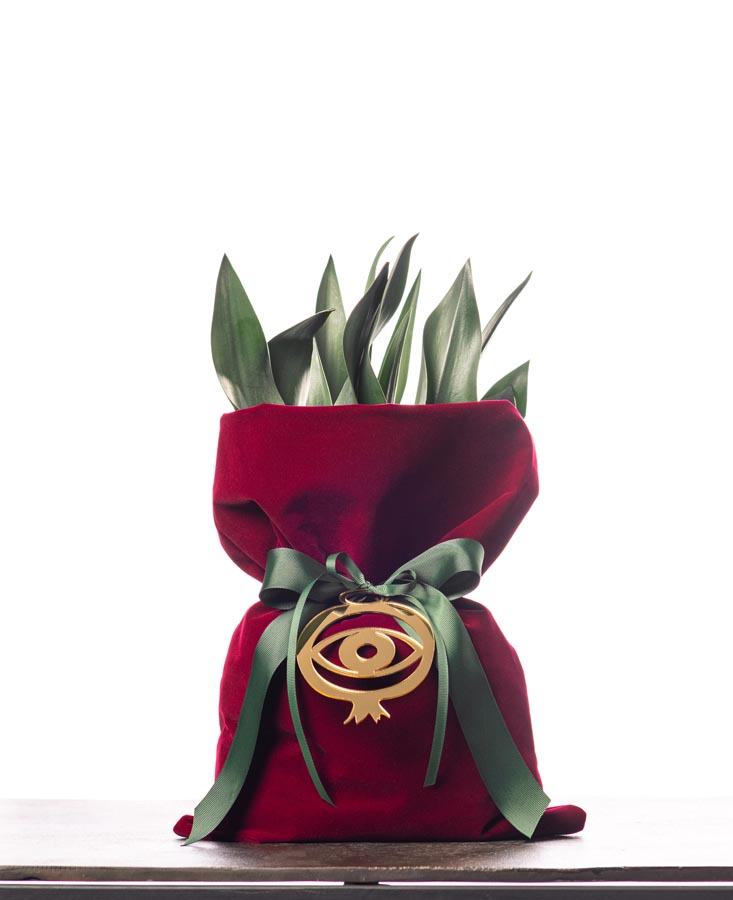 Το γούρι της ''κρομμύδας''