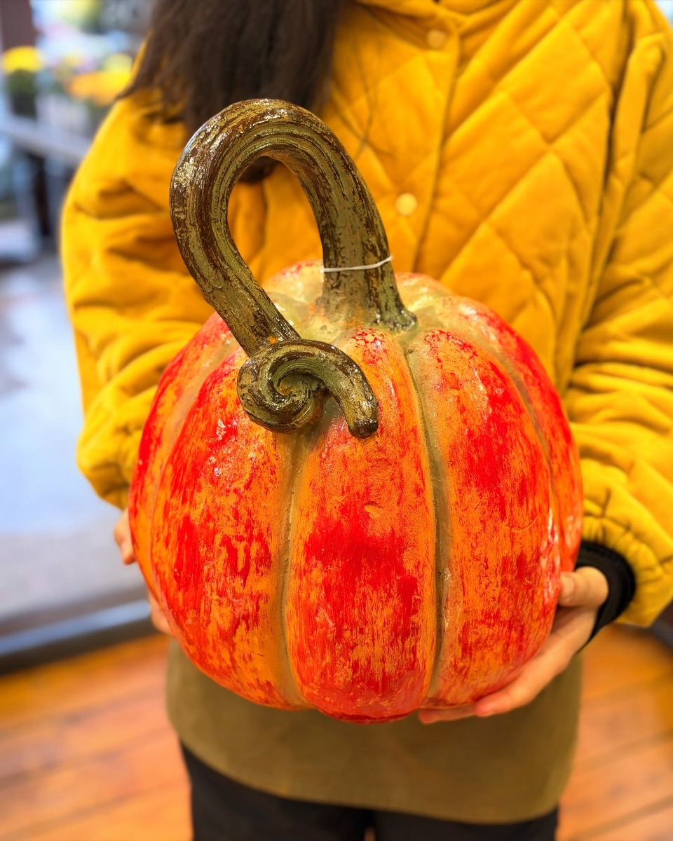 Magic Pumpkin Magic Pumpkin